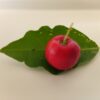 Acerola fruta natural